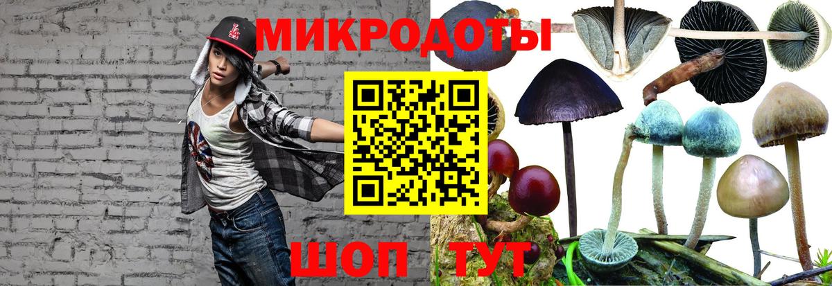 Галлюциногенные грибы Psilocybine cubensis Уссурийск