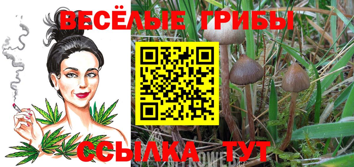 Галлюциногенные грибы Magic Shrooms  Галлюциногенные грибы ЛСД  Вход с VPN  Уссурийск 